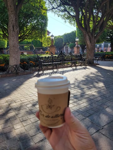 A small takeaway coffee cup held up in the leafy town square of San Miguel de Allende