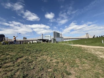 Open grassy field and paths on Roosevelt Island beneath a blue sky