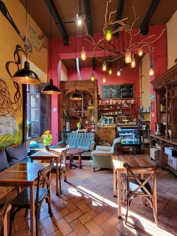 Colorful tables, chairs, plants, and hanging lights inside Flor de Altura café