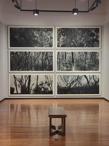 Black-and-white nature silkscreen prints arranged on a museum wall